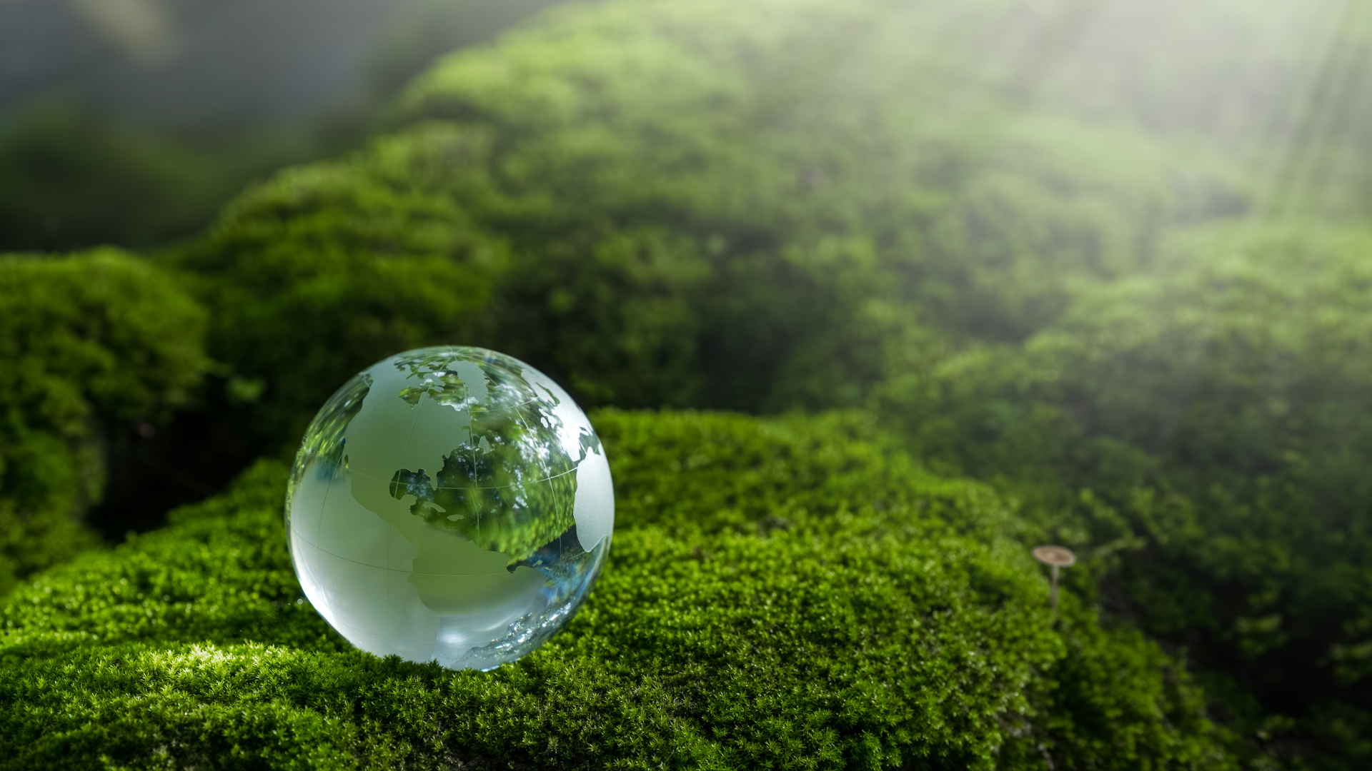 The Environmental Effect of Air Travel