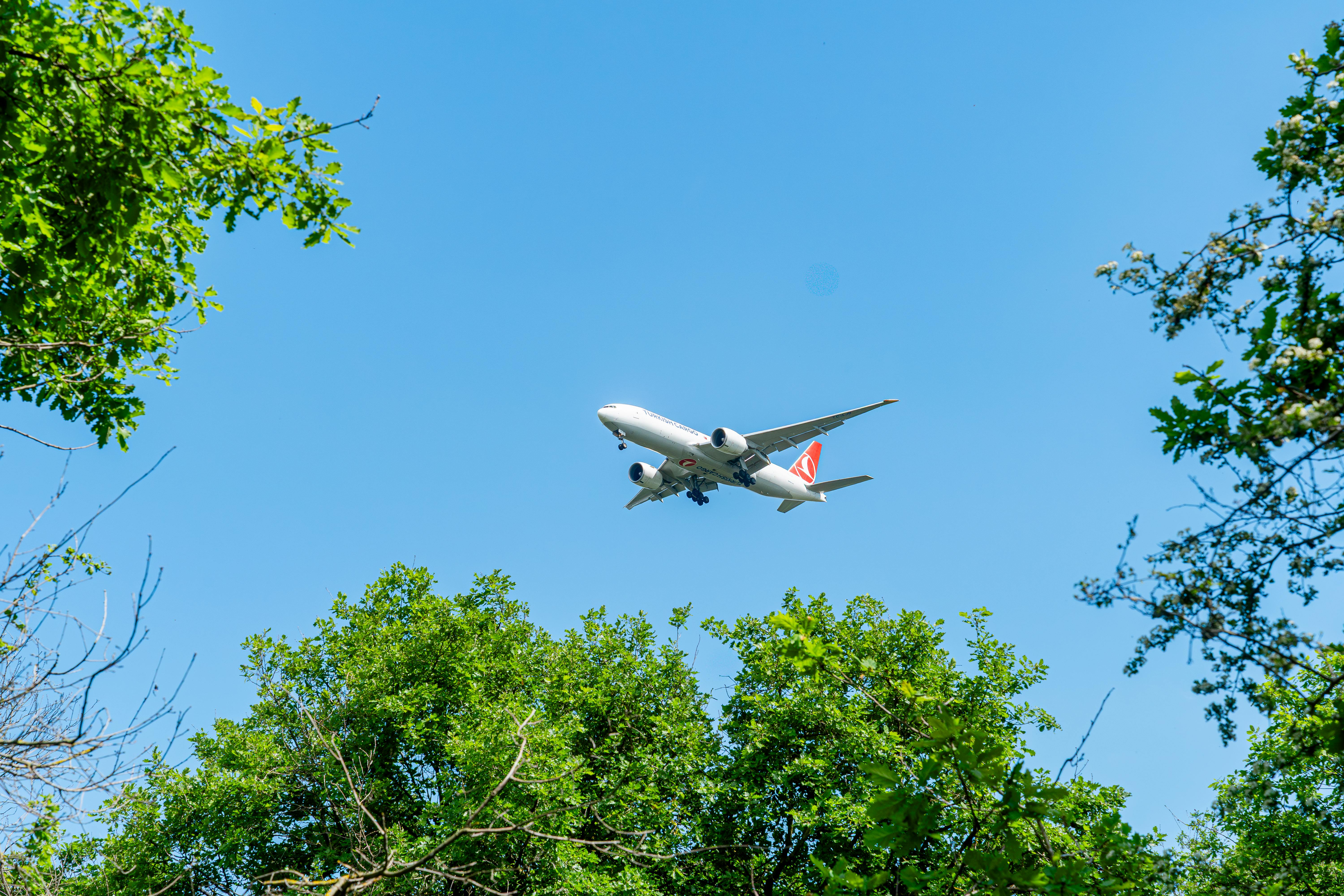Algorithms For Greener Flying